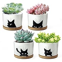 鉢花 Tomotomo Amazon.com: Honeydak Funny Succulent Black Cat Plant Pots